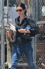 COURTENEY COX Out Shopping in West Hollywood 06/02/2016