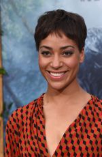 CUSH JUMBO at ‘The Legend of Tarzan’ Premiere in Hollywood 06/27/2016