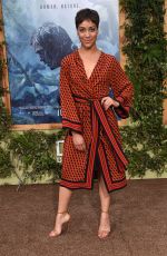 CUSH JUMBO at ‘The Legend of Tarzan’ Premiere in Hollywood 06/27/2016