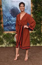 CUSH JUMBO at ‘The Legend of Tarzan’ Premiere in Hollywood 06/27/2016