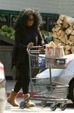 DIANA ROSS at Bristol Farms in Beverly Hills 05/31/2016