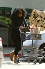 DIANA ROSS at Bristol Farms in Beverly Hills 05/31/2016