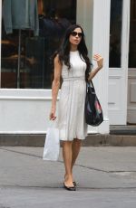 FAMKE JANSSEN Out in New York 06/27/2016