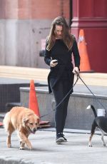HILARY SWANK Walks Her Dogs Out in New York 06/18/2016