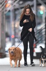 HILARY SWANK Walks Her Dogs Out in New York 06/18/2016
