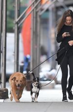 HILARY SWANK Walks Her Dogs Out in New York 06/18/2016