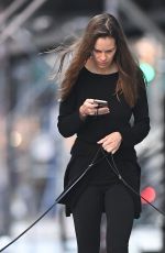 HILARY SWANK Walks Her Dogs Out in New York 06/18/2016