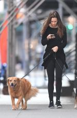 HILARY SWANK Walks Her Dogs Out in New York 06/18/2016