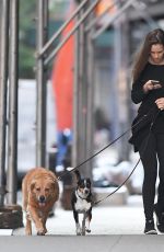 HILARY SWANK Walks Her Dogs Out in New York 06/18/2016