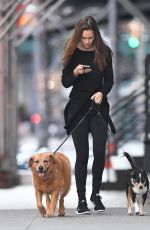 HILARY SWANK Walks Her Dogs Out in New York 06/18/2016