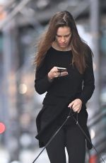 HILARY SWANK Walks Her Dogs Out in New York 06/18/2016