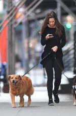HILARY SWANK Walks Her Dogs Out in New York 06/18/2016