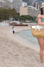 JACQUELINE MACINNES WOOD in Bikini at a Beach in Monte Carlo 06/16/2016