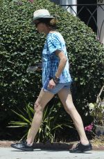 JANICE DICKINSON Leaves a Friends House in Los Angeles 06/22/2016