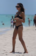 JASMINE TOSH in Bikini at a Beach in Miami 06/12/2016