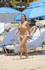 KATE HUDSON in Bikini at a Beach in Hawaii 05/31/2016
