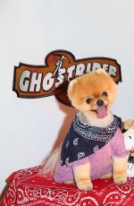 KATIE STEVENS at Ghost Rider Rides Again Event at Knotts Berry Farm in Buena Park 06/04/2016
