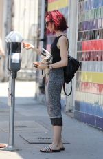 LILY COLLINS Shopping at Whole Foods in West Hollywood 06/21/2016