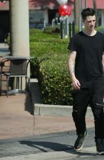 LILY ROSE-DEPP Out and About in Studio City 06/06/2016