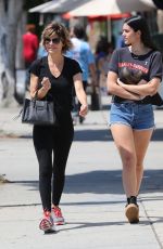LISA RINNA and AMELIA HAMLIN Out Shopping in Los Angeles 06/06/2016