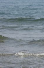 MICHELLE HUNZIKER in Bikini at a Beach in Forte Del Marmi 06/24/2016