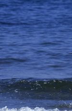 MICHELLE HUNZIKER in Bikini at a Beach in Forte Del Marmi 06/24/2016