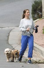 MINKA KELLY Out with Her Dogs in Los Angeles 06/06/2016