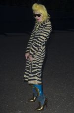 PAM HOGG at Tate Modern Extension Opening Party in London 06/16/2016