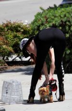 PHOEBE PRICE Walks Her Dog Out in Beverly Hills 06/02/2016