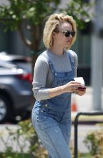 RACHEL MCADAMS Out and About in Los Angeles 06/08/2016