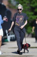 ROONEY MARA Walks Her Dogs Out in New York 06/06/2016