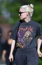 ROONEY MARA Walks Her Dogs Out in New York 06/06/2016