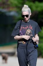 ROONEY MARA Walks Her Dogs Out in New York 06/06/2016