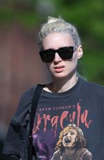 ROONEY MARA Walks Her Dogs Out in New York 06/06/2016
