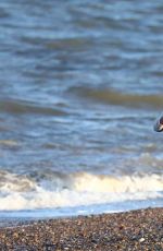 TAYLOR SWIFT and Tom Hiddleston at Suffolk Beach in England 06/25/2016