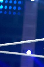 WWE - Raw Digitals 05/30/2016