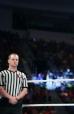 WWE - Raw Digitals 05/30/2016