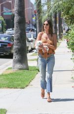 ALESSANDRA AMBROSIO Takes Her Dog Out in Beverly Hills 07/26/2016
