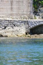 AMELIA WARNER in Bikini at a Beach in Monaco 07/15/2016
