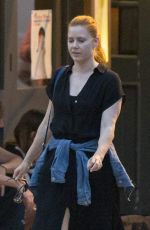 AMY ADAMS Out in Primrose Hill 07/27/2016