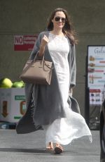 ANEGLINA JOLIE at Gelson