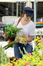 ANNE HATHAWAY Out Shopping in Los Angeles 07/27/2016