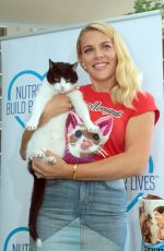 BUSY PHILIPPS at an Animal Shelter in New York 06/29/2016