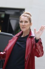 CELINE DION Out Shopping in Paris 06/30/2016