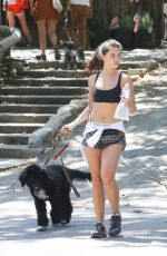 DANIELLEMCAMPBELL in Shorts and Sports Bra Out Hiking in Griffith Park 07/08/2016