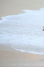 DAPHNE JOY in Swimsuit on the Beach in Cabo San Lucas 07/01/2016