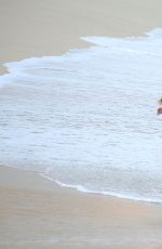 DAPHNE JOY in Swimsuit on the Beach in Cabo San Lucas 07/01/2016