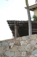 DAPHNE JOY in Swimsuit on the Beach in Cabo San Lucas 07/01/2016