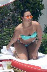 DEMI LOVATO in Bikini at a Pool in Miami 06/30/2016