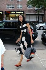 FAMKE JANSSEN Out and About in New York 07/19/2016